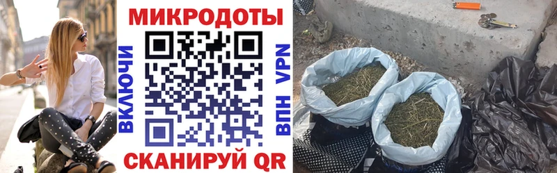Псилоцибиновые грибы прущие грибы  Светогорск 
